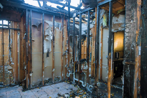 Professional Fire Damage Removal technician working in Parrish, FL